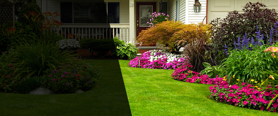 Rose Hill Landscapers